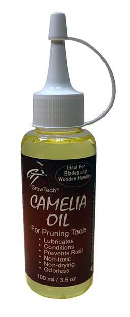 Camelia Oil