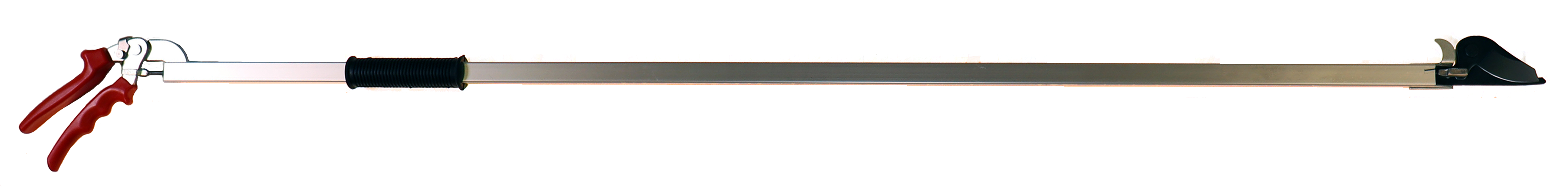 NASH Series Image